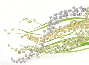 comment etre en pleine forme meilleurs probiotiques comment etre en pleine forme meilleurs probiotiques