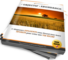 GRATUIT : Téléchargez 'OBJECTIF ABONDANCE' Co-écrit par 11 blogueurs influents