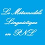 Le Métamodèle Linguistique en PNL